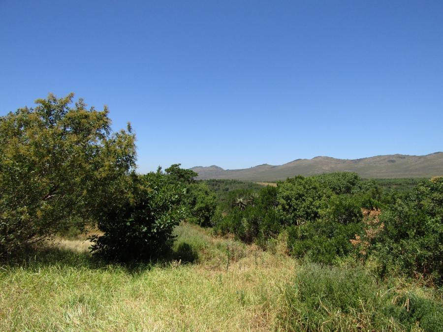 0 Bedroom Property for Sale in Humansdorp Rural Eastern Cape